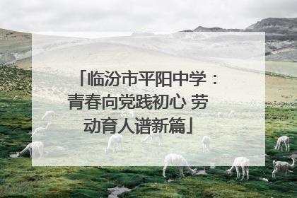 临汾市平阳中学：青春向党践初心 劳动育人谱新篇