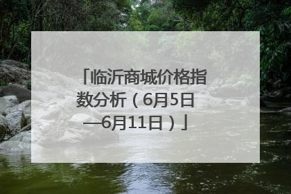 临沂商城价格指数分析（6月5日—6月11日）