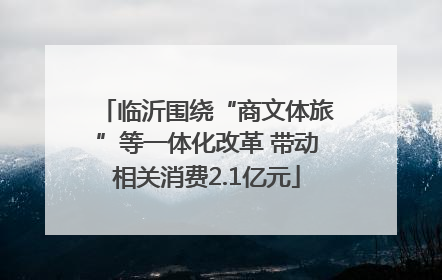 临沂围绕“商文体旅”等一体化改革 带动相关消费2.1亿元