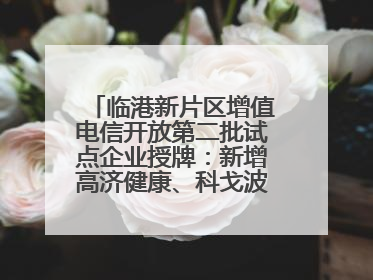 临港新片区增值电信开放第二批试点企业授牌：新增高济健康、科戈波特两家