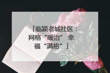 临颍老城社区：网格“暖治” 幸福“满格”