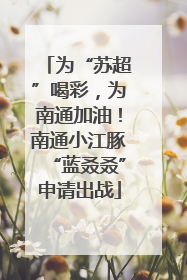 为“苏超”喝彩，为南通加油！南通小江豚“蓝叒叒”申请出战