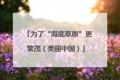 为了“海底草原”更繁茂（美丽中国）