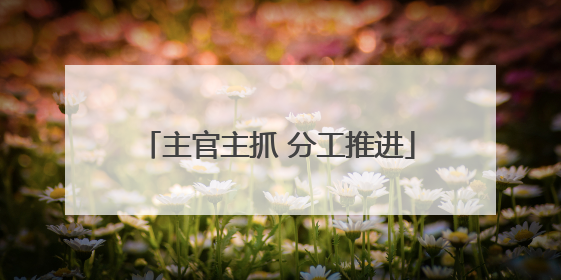 主官主抓 分工推进