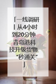 一线调研丨从4小时到20分钟 青岛港科技升级货物“秒通关”