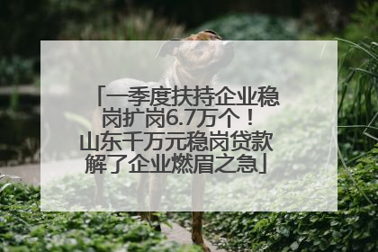 一季度扶持企业稳岗扩岗6.7万个！山东千万元稳岗贷款解了企业燃眉之急