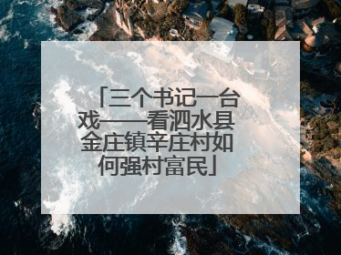 三个书记一台戏——看泗水县金庄镇辛庄村如何强村富民