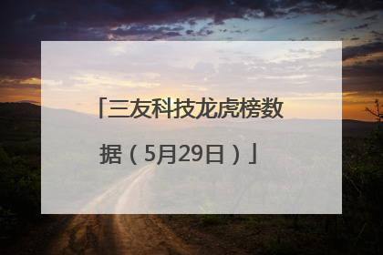 三友科技龙虎榜数据（5月29日）