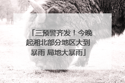 三预警齐发！今晚起湘北部分地区大到暴雨 局地大暴雨