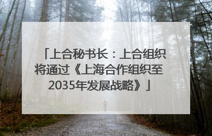 上合秘书长：上合组织将通过《上海合作组织至2035年发展战略》