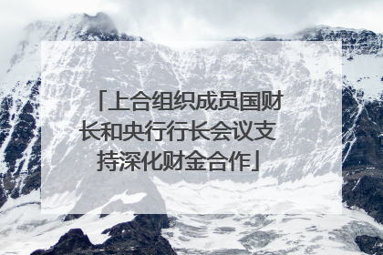 上合组织成员国财长和央行行长会议支持深化财金合作