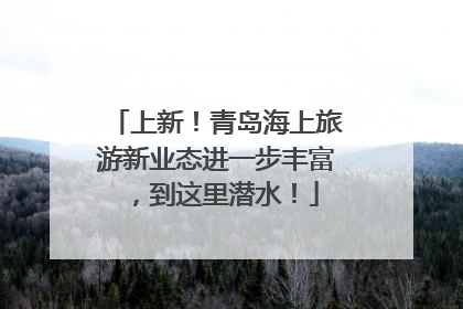 上新！青岛海上旅游新业态进一步丰富，到这里潜水！