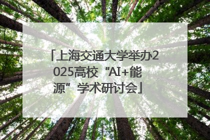 上海交通大学举办2025高校“AI+能源”学术研讨会