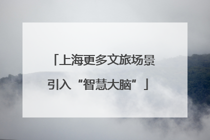 上海更多文旅场景引入“智慧大脑”