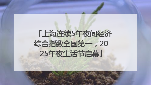 上海连续5年夜间经济综合指数全国第一，2025年夜生活节启幕