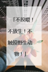 不投喂！不放生！不触摸野生动物！