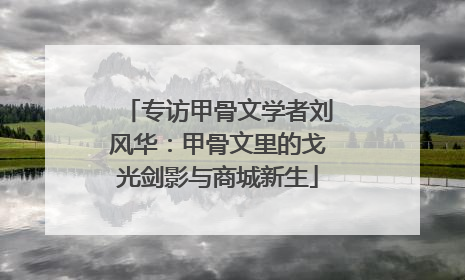 专访甲骨文学者刘风华：甲骨文里的戈光剑影与商城新生