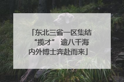 东北三省一区集结“揽才” 逾八千海内外博士奔赴而来