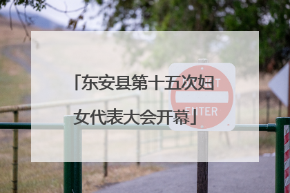 东安县第十五次妇女代表大会开幕