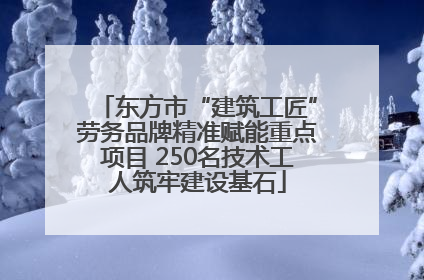 东方市“建筑工匠”劳务品牌精准赋能重点项目 250名技术工人筑牢建设基石