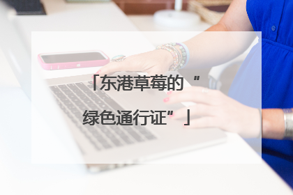 东港草莓的“绿色通行证”
