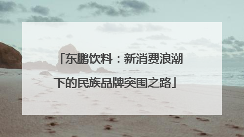 东鹏饮料：新消费浪潮下的民族品牌突围之路