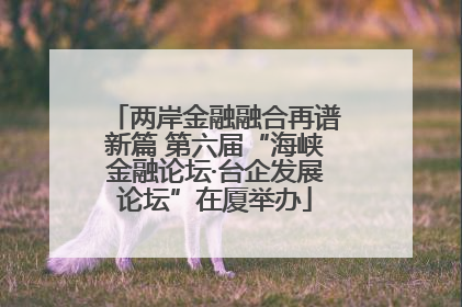 两岸金融融合再谱新篇 第六届“海峡金融论坛·台企发展论坛”在厦举办
