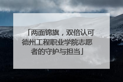 两面锦旗，双倍认可德州工程职业学院志愿者的守护与担当