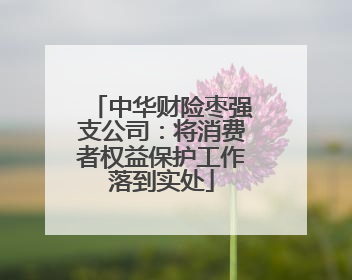 中华财险枣强支公司：将消费者权益保护工作落到实处