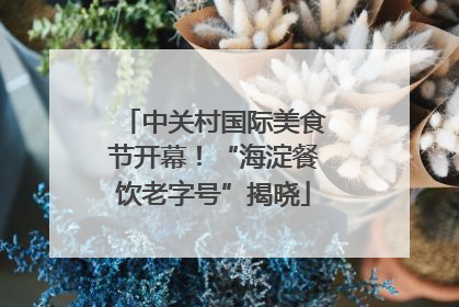 中关村国际美食节开幕！“海淀餐饮老字号”揭晓