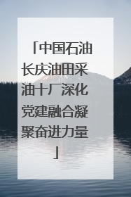 中国石油长庆油田采油十厂深化党建融合凝聚奋进力量