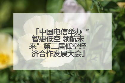中国电信举办“智惠低空 领航未来”第二届低空经济合作发展大会