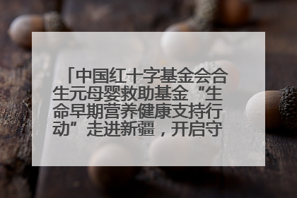 中国红十字基金会合生元母婴救助基金“生命早期营养健康支持行动”走进新疆，开启守护母婴新篇章！