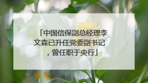 中国信保副总经理李文森已升任党委副书记，曾任职于央行