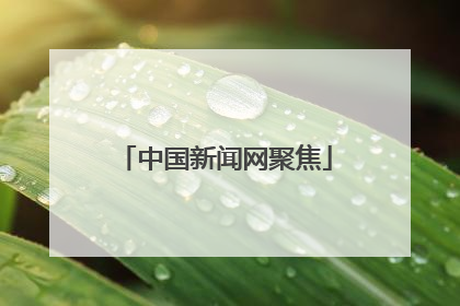 中国新闻网聚焦
