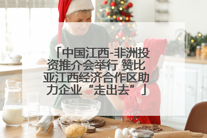 中国江西-非洲投资推介会举行 赞比亚江西经济合作区助力企业“走出去”
