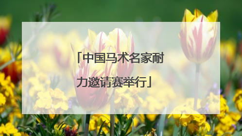 中国马术名家耐力邀请赛举行