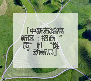 中新苏滁高新区：招商“质”胜 “链”动新局
