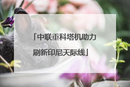 中联重科塔机助力刷新印尼天际线