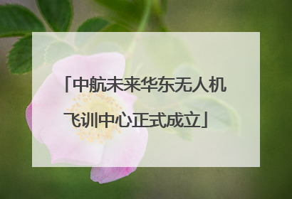 中航未来华东无人机飞训中心正式成立