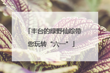 丰台的绿野仙踪带您玩转“六一”