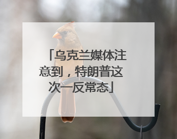 乌克兰媒体注意到，特朗普这次一反常态