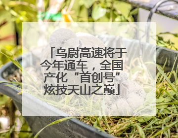 乌尉高速将于今年通车，全国产化“首创号”炫技天山之巅