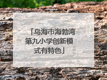 乌海市海勃湾第九小学创新模式有特色