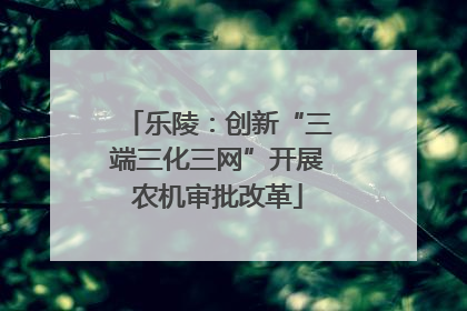 乐陵：创新“三端三化三网”开展农机审批改革