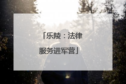 乐陵：法律服务进军营