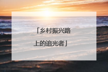 乡村振兴路上的追光者