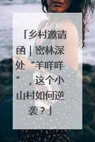 乡村邀请函｜密林深处“羊咩咩”，这个小山村如何逆袭？