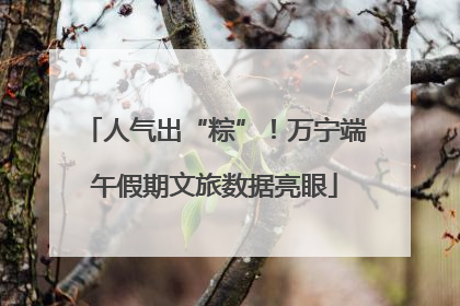 人气出“粽”！万宁端午假期文旅数据亮眼