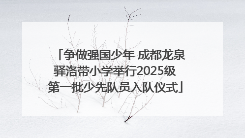 争做强国少年 成都龙泉驿洛带小学举行2025级第一批少先队员入队仪式